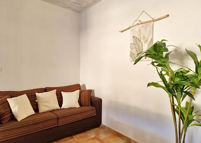 Le Melodie - Con Spazi Esterni Privati A Sos Alinos Apartamento Cala Liberotto